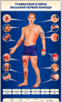 Электрифицированный стенд-тренажер "Травматизм и меры оказания первой помощи" - fgospostavki.ru - Махачкала