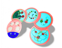 Тактильно-развивающая панель «Гусеница» - fgospostavki.ru - Махачкала