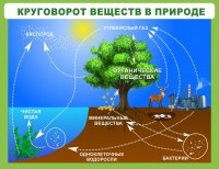 Стенд "Круговорот веществ" - fgospostavki.ru - Махачкала