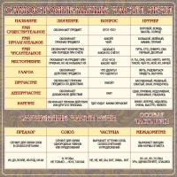 Стенд "Самостоятельные части речи" Вариант 2 - fgospostavki.ru - Махачкала