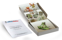 Модель-аппликация "Взаимодействия в природных сообществах" (набор из 23 карт) - fgospostavki.ru - Махачкала