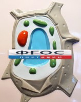 Модель барельефная "Растительная клетка" - fgospostavki.ru - Махачкала