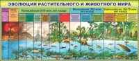 Стенд "Эволюция растительного и животного мира" - fgospostavki.ru - Махачкала