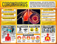Плакат "Коронавирус" (вариант 2) - fgospostavki.ru - Махачкала