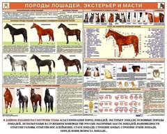 Комплект плакатов "Служебное коневодство" - fgospostavki.ru - Махачкала