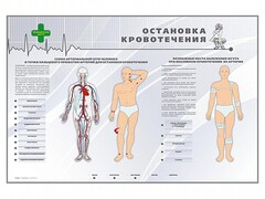 Электрифицированный стенд "Остановка кровотечения" - fgospostavki.ru - Махачкала