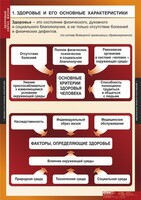 Комплект таблиц. ОБЖ. Здоровый образ жизни. - fgospostavki.ru - Махачкала