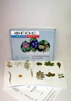 Гербарий "Морфология растений" (5 тем х 3 листа) - fgospostavki.ru - Махачкала