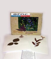Гербарий "Дикорастущие растения" (28 видов) - fgospostavki.ru - Махачкала