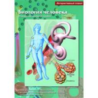 Интерактивные плакаты. Биология человека. Программно-методический комплекс - fgospostavki.ru - Махачкала