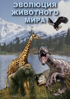 DVD "Эволюция животного мира" - fgospostavki.ru - Махачкала