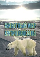 DVD "Животный мир Арктической зоны" - fgospostavki.ru - Махачкала