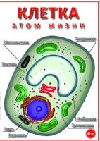DVD "Клетка - "атом жизни" - fgospostavki.ru - Махачкала