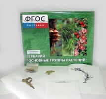 Гербарий "Основные группы растений" (52 листа) - fgospostavki.ru - Махачкала