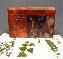 Гербарий для Начальной школы (28 видов) - fgospostavki.ru - Махачкала