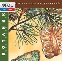 Ботаника. Микрофотографии. (Цифровая база изображений) - fgospostavki.ru - Махачкала