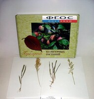 Гербарий "Культурные растения" (28 видов) - fgospostavki.ru - Махачкала