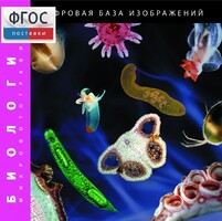 Биология. Микрофотографии. (Цифровая база изображений) - fgospostavki.ru - Махачкала