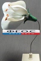 Модель "Цветок гороха" - fgospostavki.ru - Махачкала