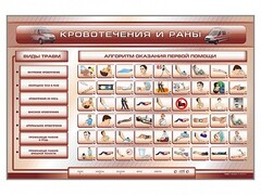 Трехсекционный базовый комплект "Травмы. Кровотечения. Ожоги" для учащихся общеобразовательных учреждений - fgospostavki.ru - Махачкала