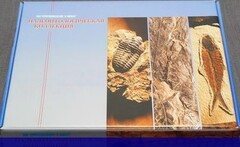 Коллекция "Палеонтологическая" (16 образцов) - fgospostavki.ru - Махачкала