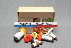 Набор муляжей грибов - fgospostavki.ru - Махачкала