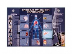 Электрифицированный стенд "Вредные привычки: наркомания" - fgospostavki.ru - Махачкала