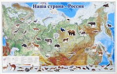 Магнитные карточки "Животные" - fgospostavki.ru - Махачкала