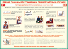 Таблица "Порядок действий при переломах конечностей" (100х140 сантиметров, винил) - fgospostavki.ru - Махачкала