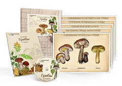 Комбинированное наглядное пособие  «Грибы» - fgospostavki.ru - Махачкала