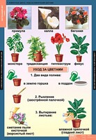 Комплект таблиц. Окружающий мир 1 класс. - fgospostavki.ru - Махачкала
