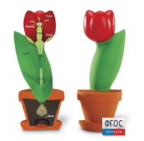 Модель цветка - fgospostavki.ru - Махачкала