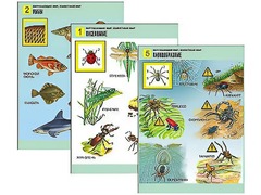 Комплект таблиц "Окружающий мир. Животный мир" (8 таблиц, А1, ламинированные) - fgospostavki.ru - Махачкала
