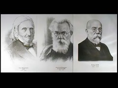 Портреты биологов (26 штук, формат А3) - fgospostavki.ru - Махачкала