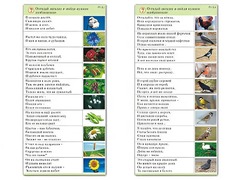 Комплект карточек (10) "Обучающий калейдоскоп. Природа" - fgospostavki.ru - Махачкала