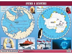 Таблица демонстрационная "Арктика и Антарктика" (винил 100*140) - fgospostavki.ru - Махачкала
