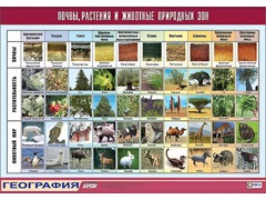 Таблица демонстрационная "Почвы, растения и животные природных зон" (винил 70*100) - fgospostavki.ru - Махачкала