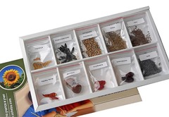 Коллекция "Плоды сельскохозяйственных растений" - fgospostavki.ru - Махачкала