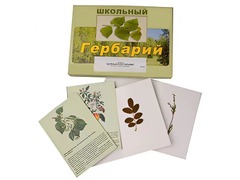 Гербарий "Деревья и кустарники" (22 вида, с иллюстрациями) - fgospostavki.ru - Махачкала