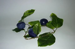 Ветка муляжей "Слива" - fgospostavki.ru - Махачкала