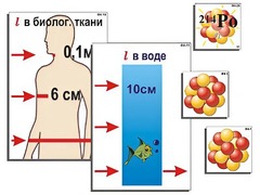 Модель-аппликация "Явление радиоактивности" (ламинированная) - fgospostavki.ru - Махачкала