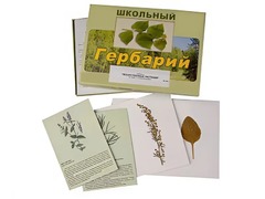 Гербарий "Лекарственные растения" (22 вида с иллюстрациями) - fgospostavki.ru - Махачкала