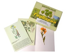Гербарий "Систематика растений. Семейство Пасленовые. Крестоцветные. Сложноцветные" (раздаточный) - fgospostavki.ru - Махачкала