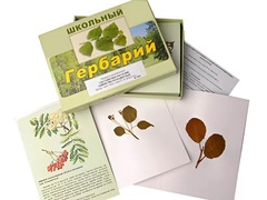 Гербарий "Систематика растений. Семейство Розоцветные" (раздаточный) - fgospostavki.ru - Махачкала