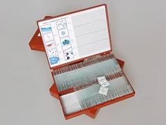 Комплект микропрепаратов "Ботаника 1" - fgospostavki.ru - Махачкала