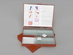 Комплект микропрепаратов "Общая биология" - fgospostavki.ru - Махачкала