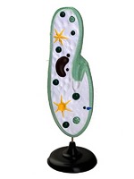 Модель инфузории-туфельки - fgospostavki.ru - Махачкала