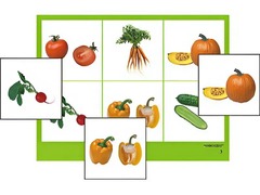 Логопедическое лото "Овощи" (4 планшета, 24 карточки, цветное, ламинированное) - fgospostavki.ru - Махачкала