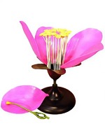 Модель цветка яблони - fgospostavki.ru - Махачкала