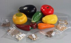 Коллекция "Плоды сельскохозяйственных растений" - fgospostavki.ru - Махачкала